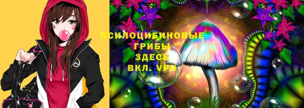 ГАЛЛЮЦИНОГЕННЫЕ ГРИБЫ Абдулино