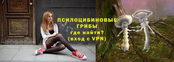ГАЛЛЮЦИНОГЕННЫЕ ГРИБЫ Абдулино