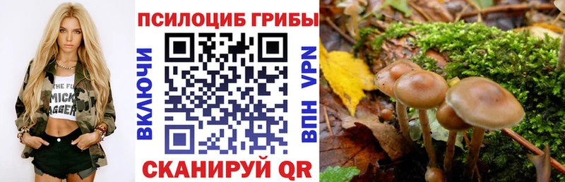 Псилоцибиновые грибы мицелий  Знаменск 