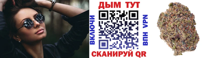 купить закладку Знаменск Шишки марихуана SATIVA & INDICA